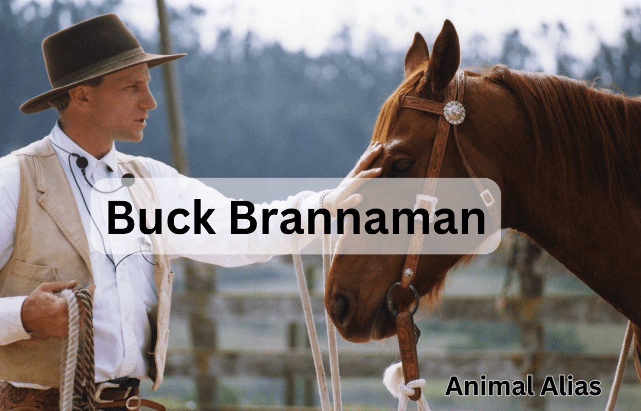 Buck Brannaman