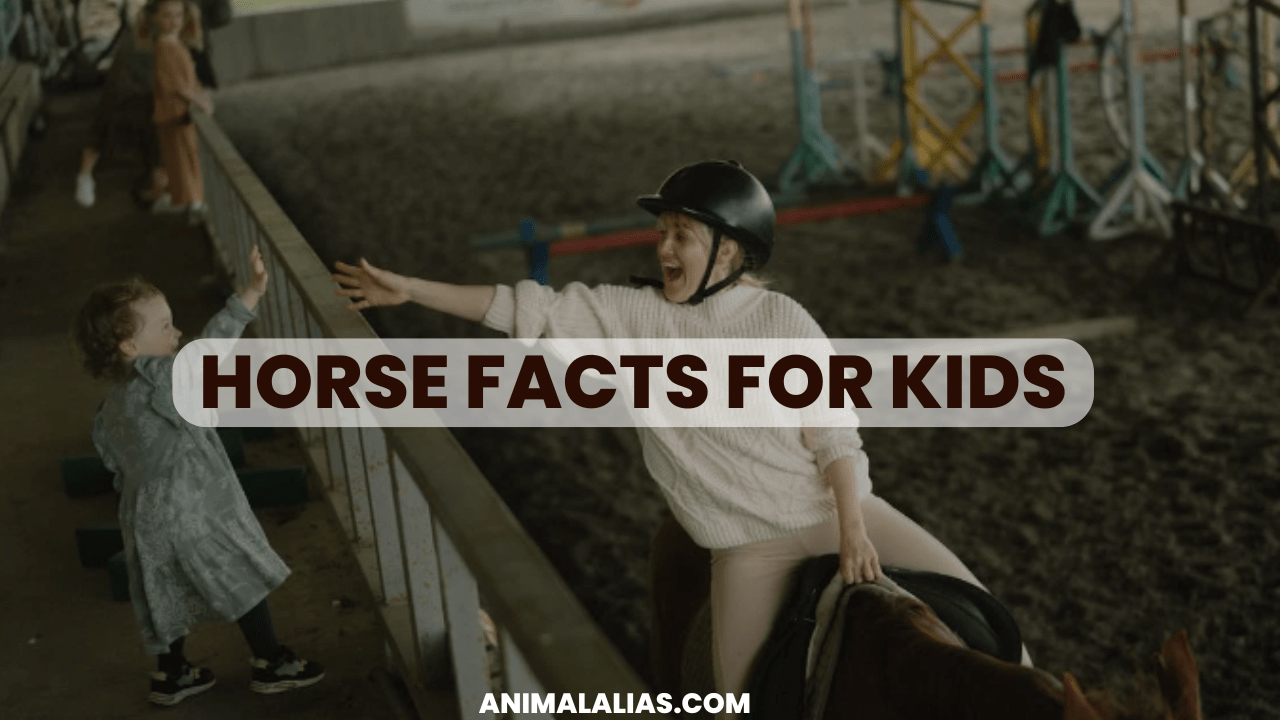 Horse facts for kids