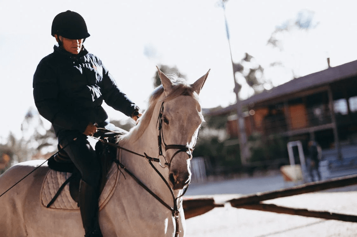 Male White Horse Names