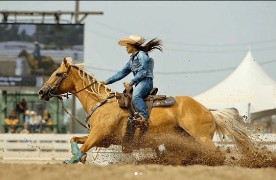 Hailey Kinsel's Horses