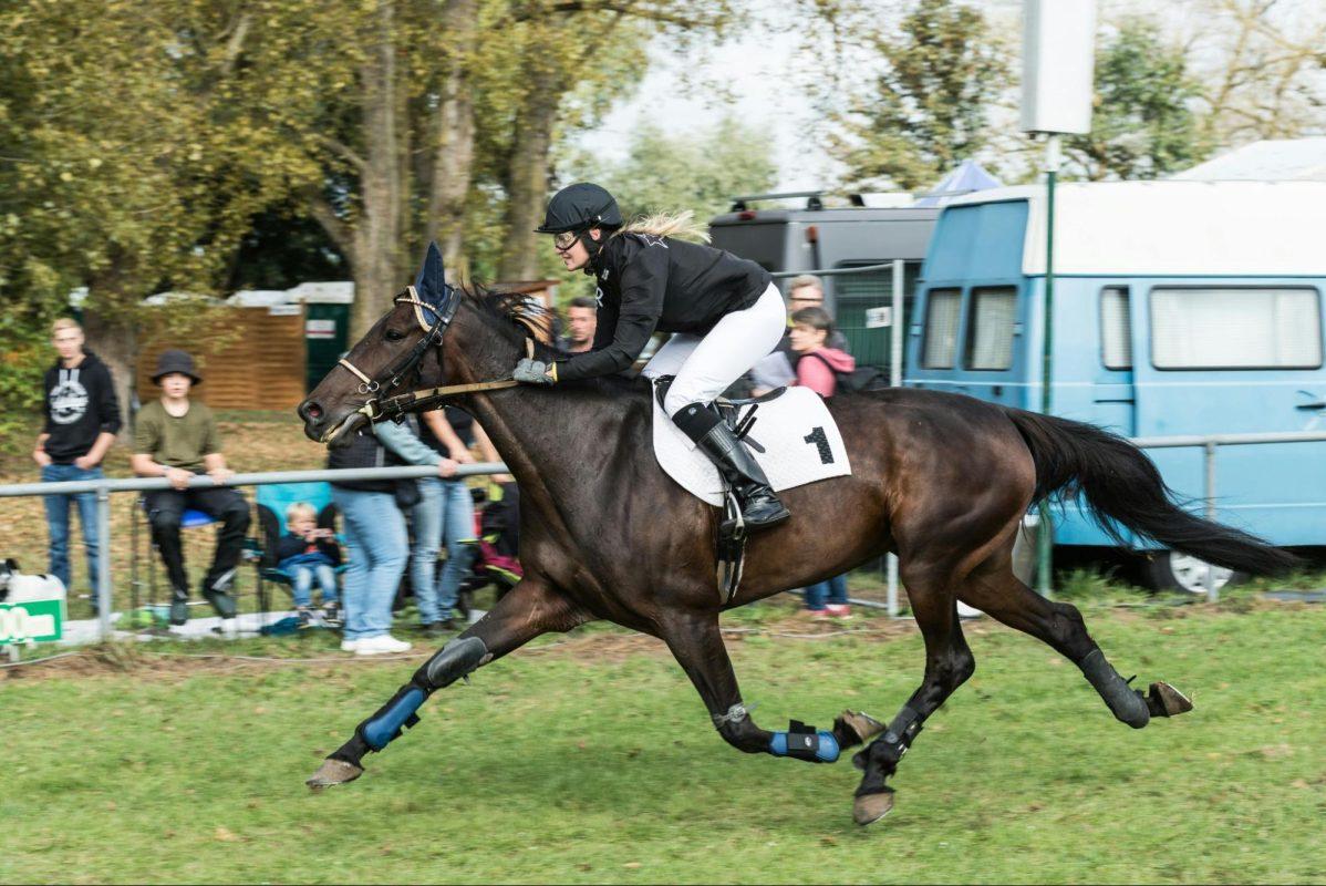  Ideal Barrel Racing Horse