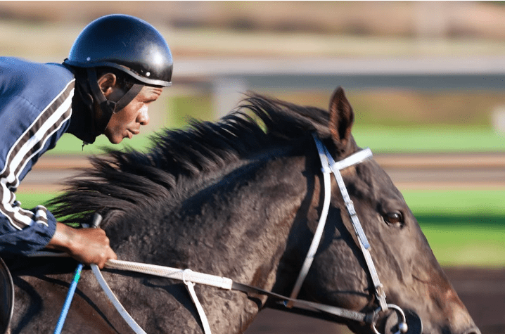 History: The Legacy of the Belgium Horse