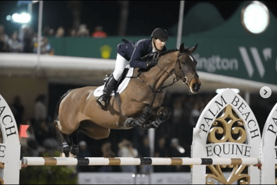 Mclain Ward Sapphire