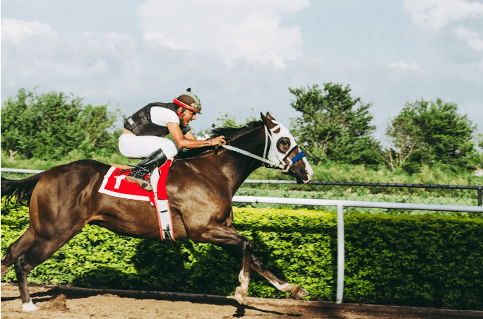 How Fast Can a Horse Run with a Rider?
