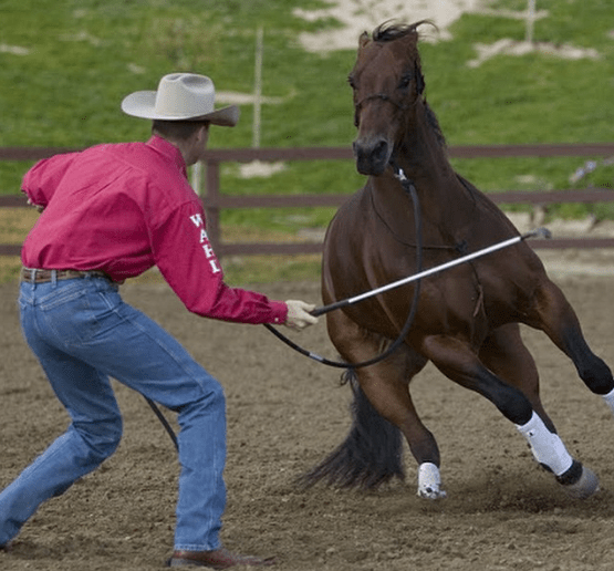 Clinton Anderson horse trainer