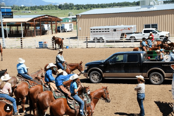 Pat Parelli lean you how to train a horse