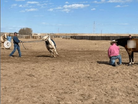 John Lyons, often referred to as “America’s Most Trusted Horseman,”