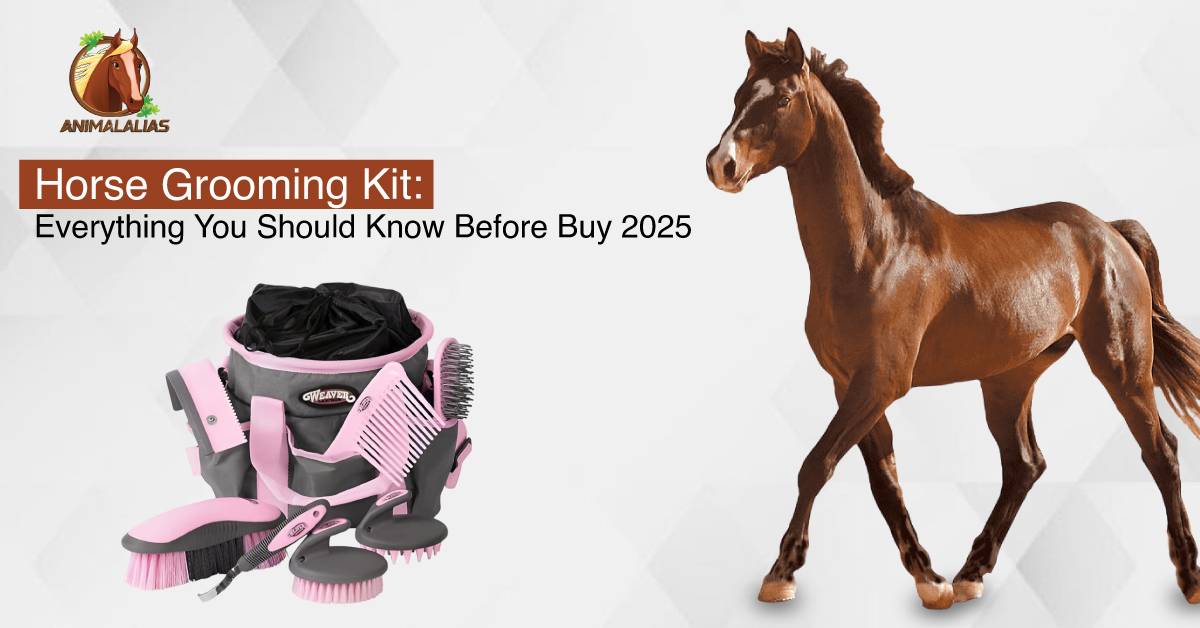 Horse grooming Kit 2025