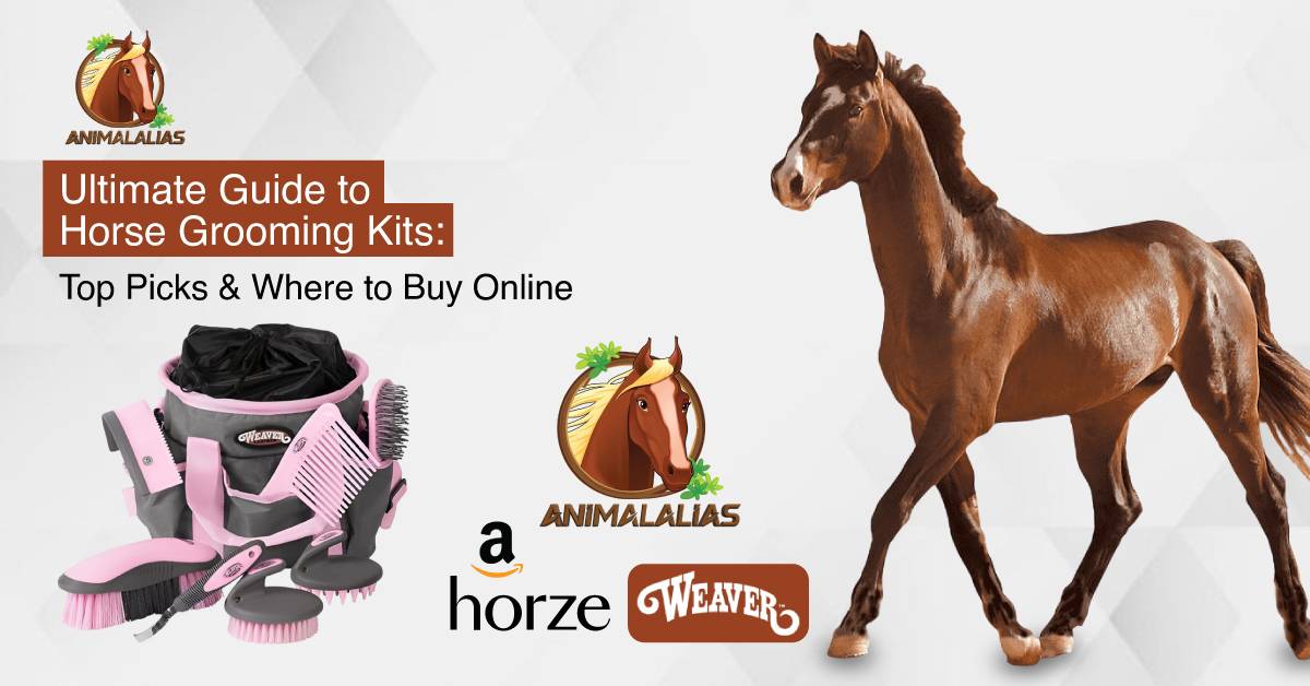 Ultimate Guide to Horse Grooming Kit: Top Picks & Where to Buy Online